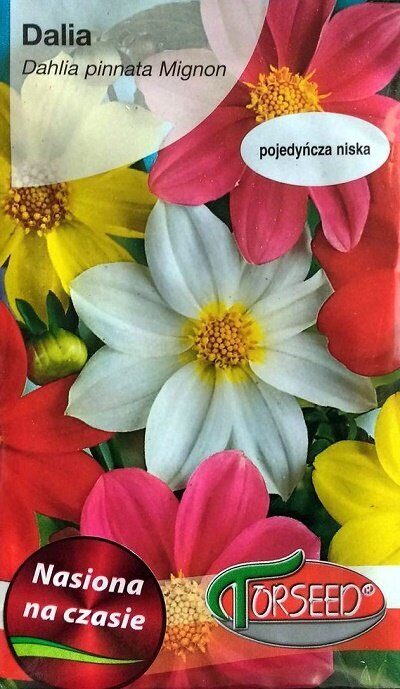 Vasaras dālijas Mignon MIX 1 g Torseed